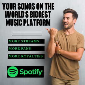 Spotify Playlist Campaign - ElectroMusic Network